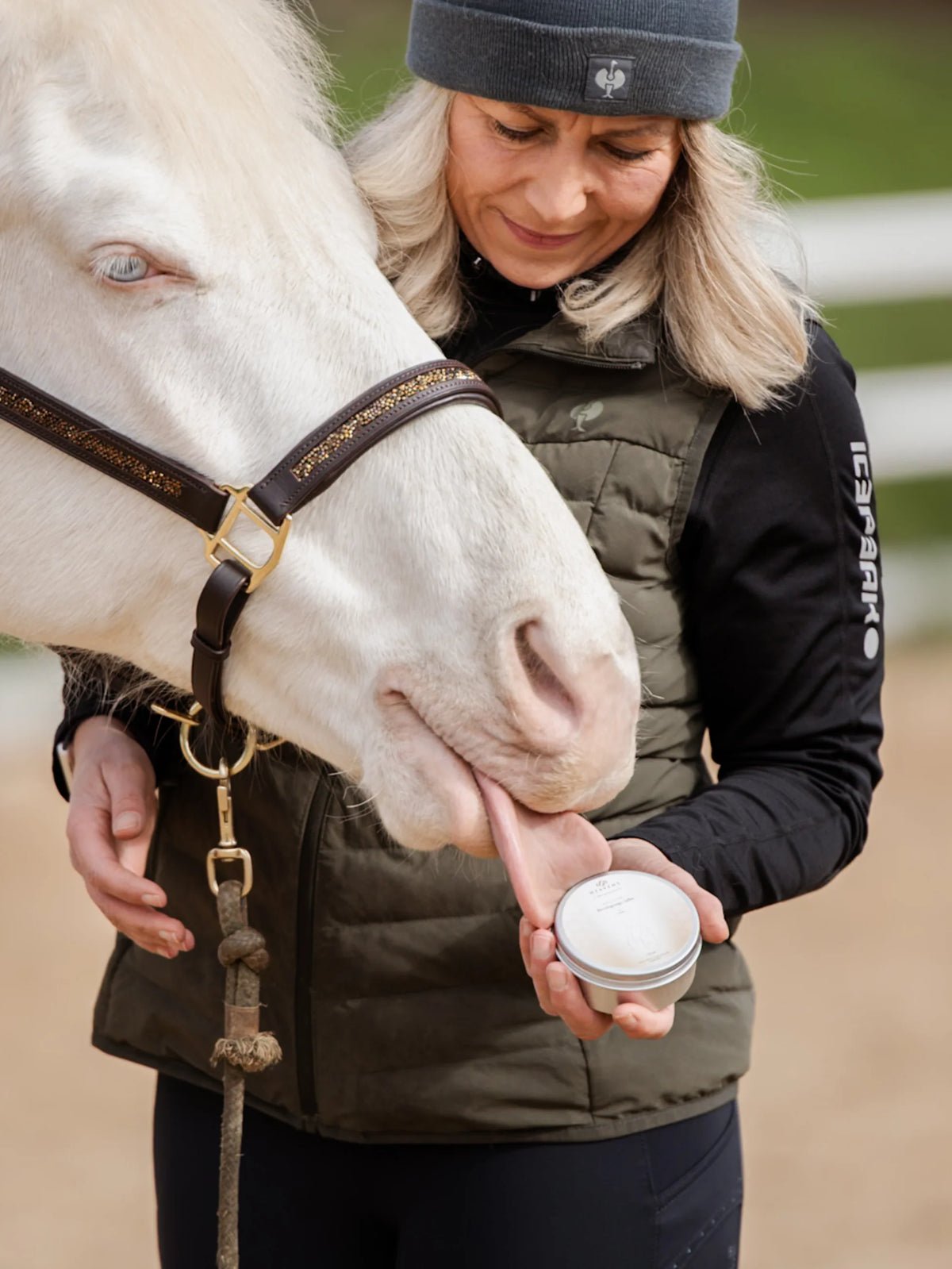 Pferd nimmt Propolis Beruhigungs-Salbe von der Hand einer Reiterin auf dem Reitplatz