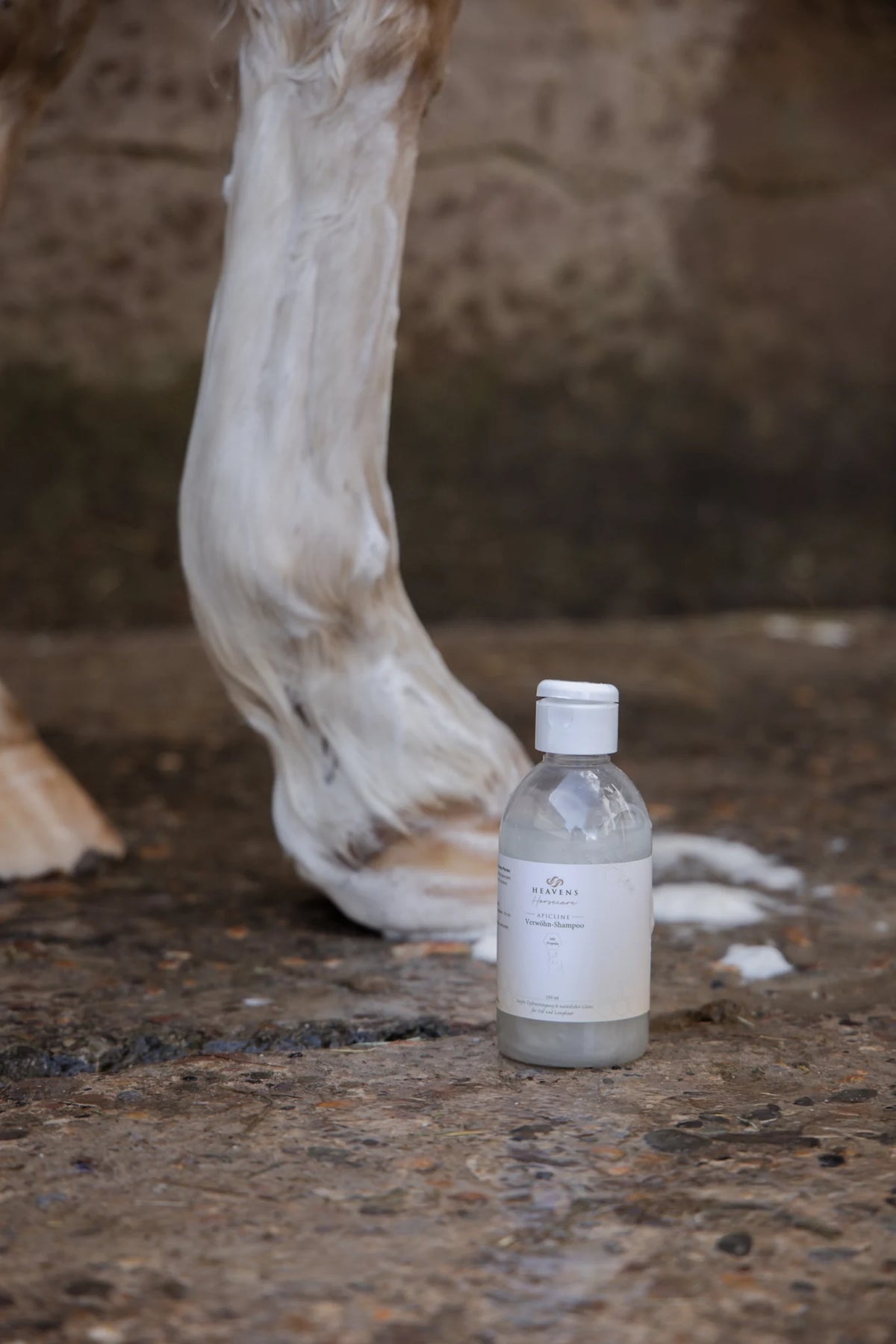 Eingeschäumtes Pferdebein mit weißem Schaum bis zum Huf, daneben die Flasche Verwöhn-Shampoo von Heavens Horsecare auf nassem Stallboden
