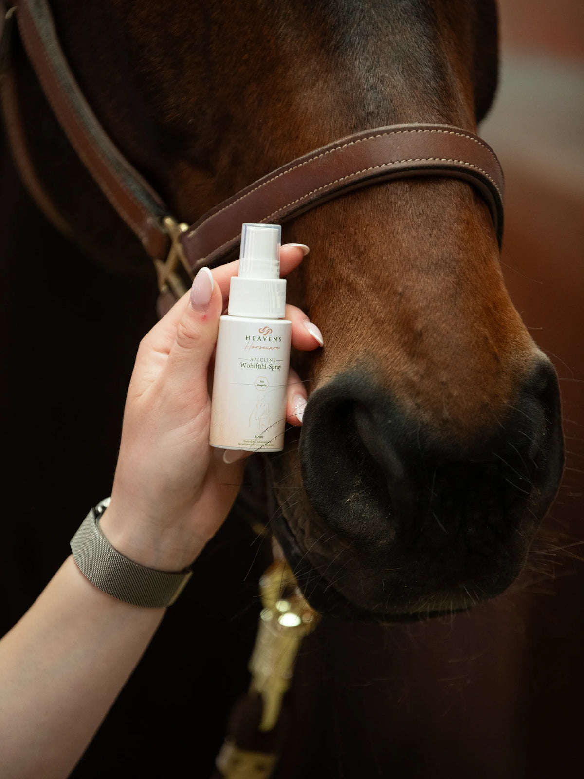 Propolis Wohlfühl-Spray wird auf das Fell eines braunen Pferdes gesprüht