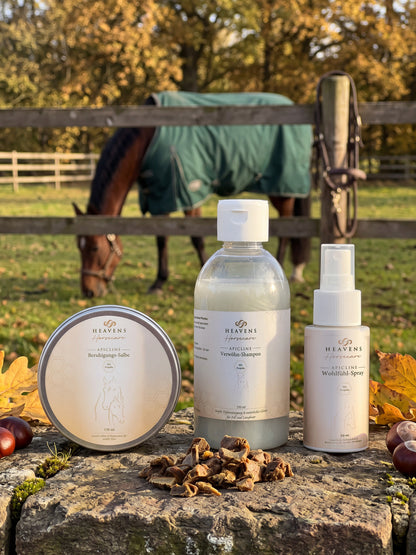 Das Ritual Bundle