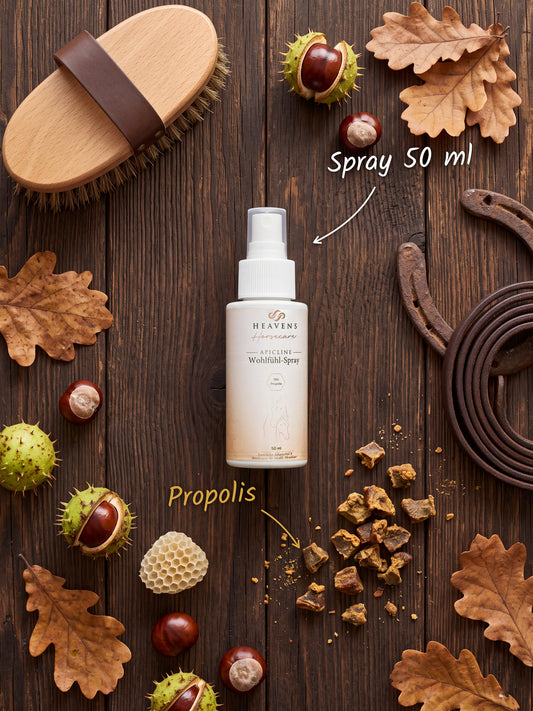 Heavens Horsecare Wohlfühl-Spray 50 ml mit Propolis in der Sprühflasche, auf dunklem Holz neben Pferdebürste, Hufeisen und Lederstrick, dazu Rohpropolis, eine Wabe, Kastanien und Eichenlaub