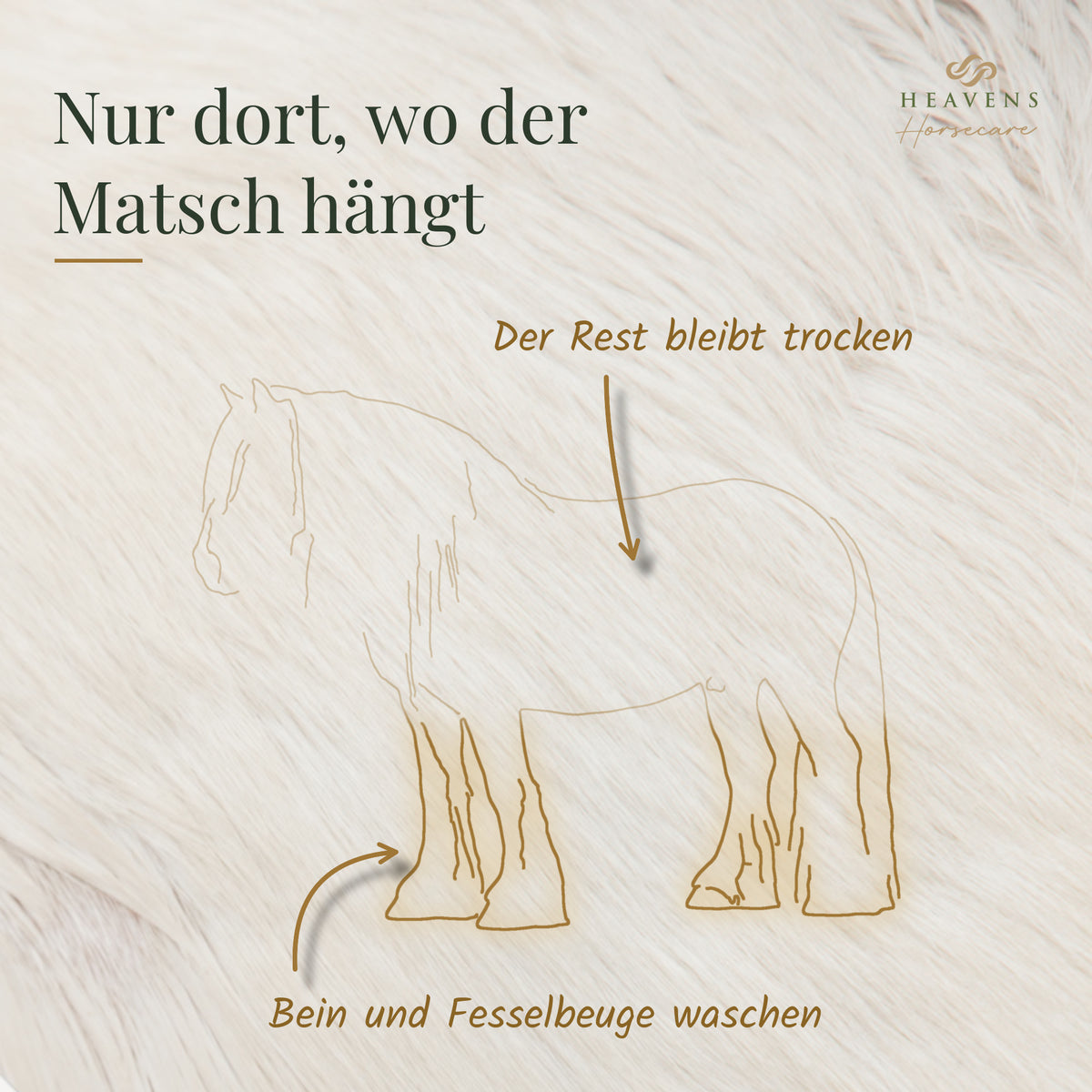 Nur dort, wo der Matsch hängt: Zeichnung eines Pferdes mit hervorgehobenen Beinen, Bein und Fesselbeuge waschen, der Rest bleibt trocken