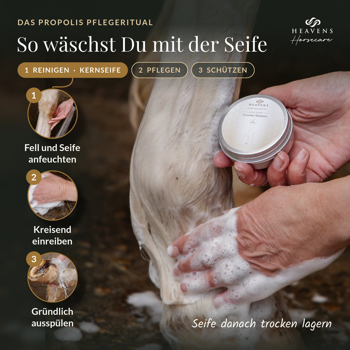 So wäschst Du mit der Seife: Fell und Seife anfeuchten, kreisend einreiben, gründlich ausspülen
