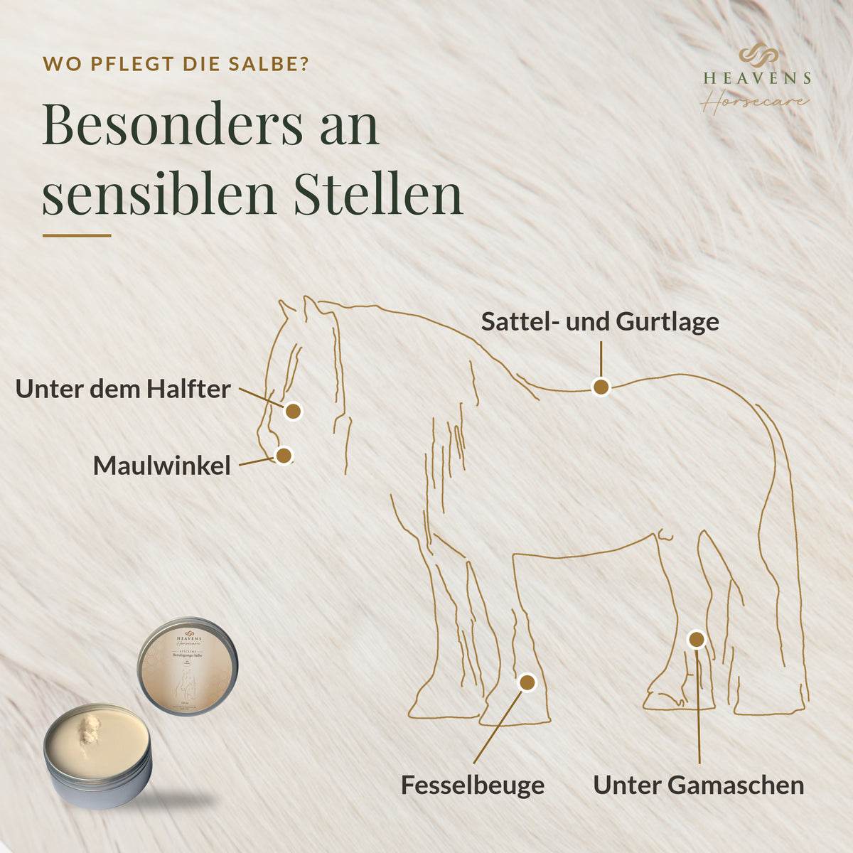 Wo die Salbe pflegt: Fesselbeuge, Sattel- und Gurtlage, unter dem Halfter, Maulwinkel, unter Gamaschen
