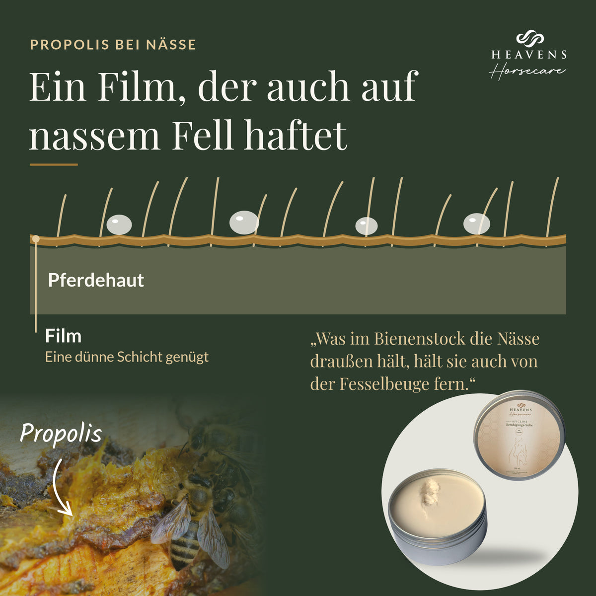 Ein Film, der auch auf nassem Fell haftet