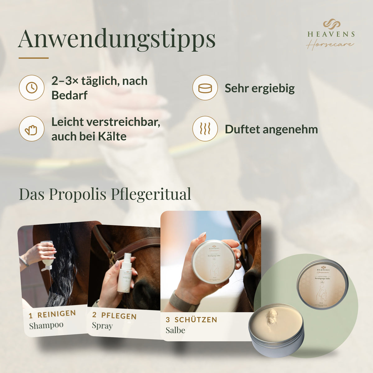 Anwendung: reinigen, dünn auftragen, nach Regen erneuern
