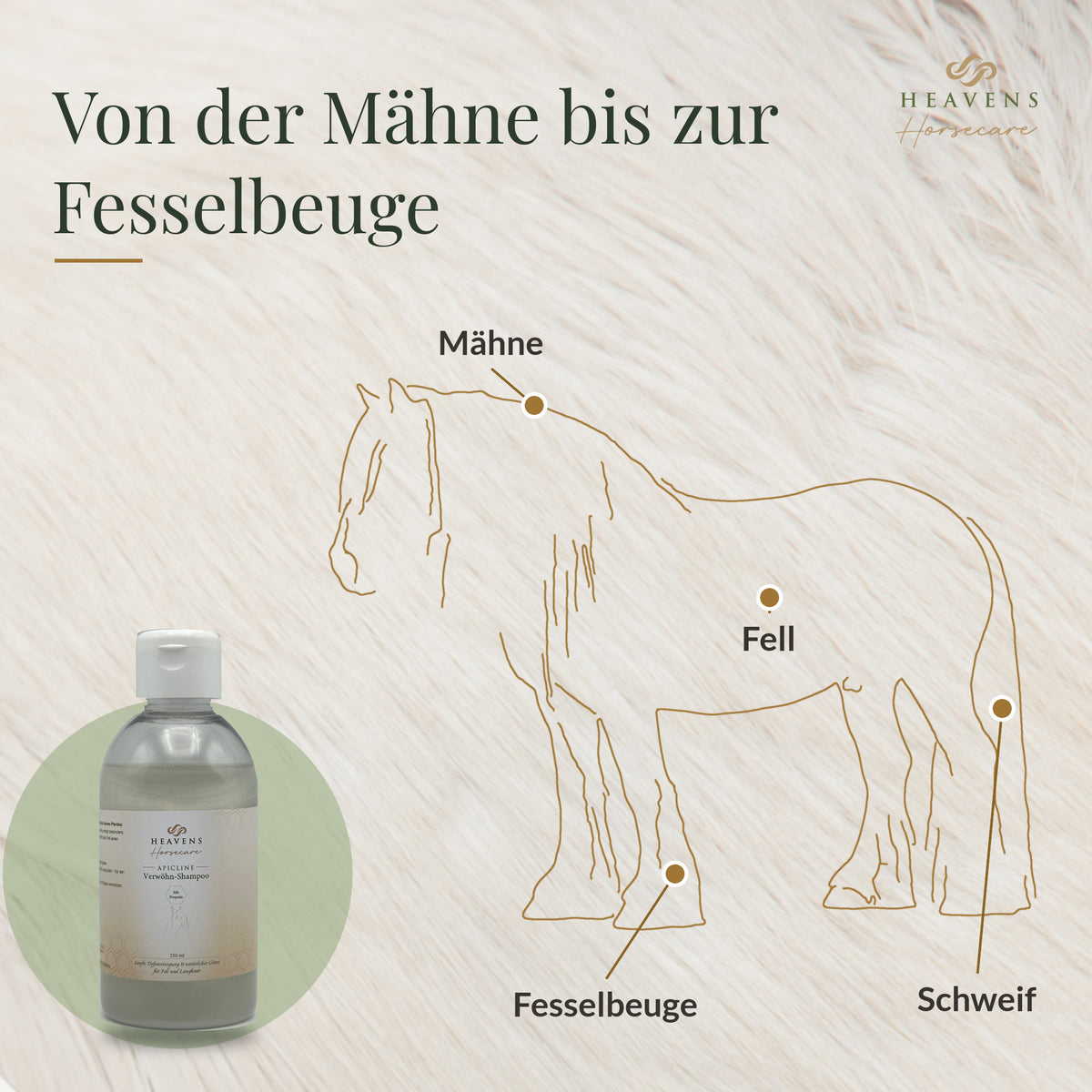 Von der Mähne bis zur Fesselbeuge: Zeichnung eines Pferdes mit Mähne, Fell, Schweif und Fesselbeuge
