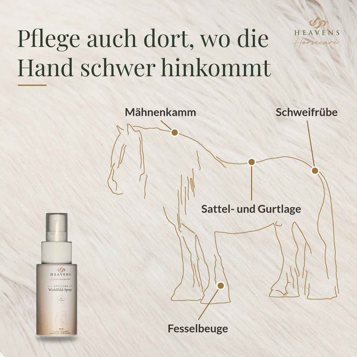 Pflege auch dort, wo die Hand schwer hinkommt: Zeichnung eines Pferdes mit Mähnenkamm, Schweifrübe, Sattel- und Gurtlage und Fesselbeuge