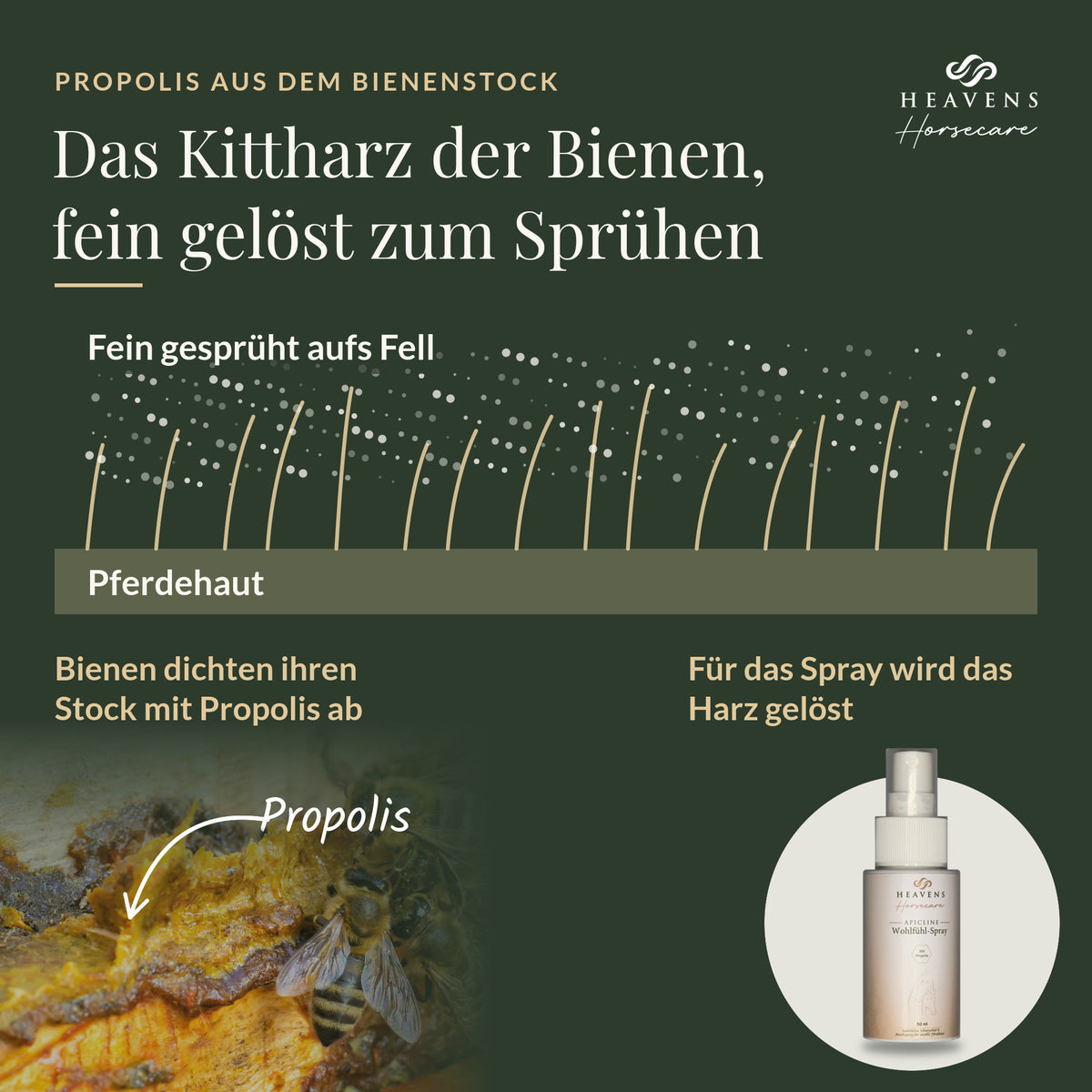 Das Kittharz der Bienen, fein gelöst zum Sprühen: Bienen dichten ihren Stock mit Propolis ab, für das Spray wird das Harz gelöst