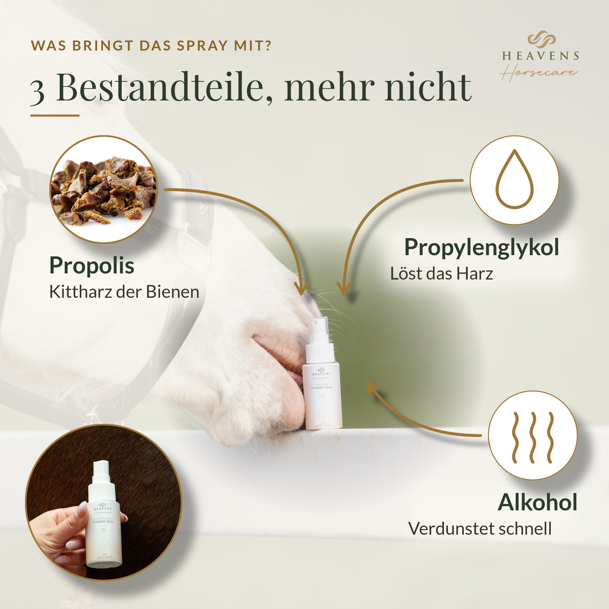 Drei Bestandteile, mehr nicht: Propolis, Propylenglykol und Alkohol