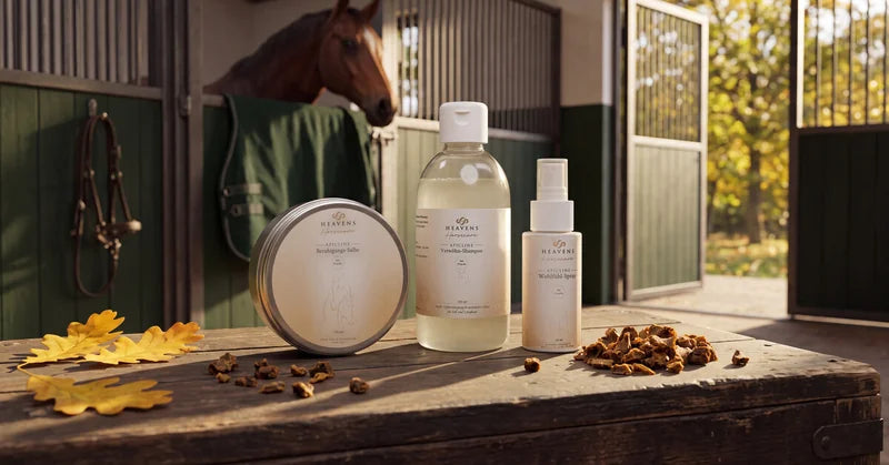 Propolis-Salbe, Propolis-Shampoo und Propolis-Spray auf einer Holzbank im Stall, daneben Rohpropolis und Herbstlaub, im Hintergrund ein Pferd in der Box