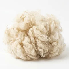 Flocke roher Schafwolle, aus der Lanolin gewonnen wird