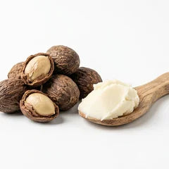 Sheanüsse und ein Holzlöffel mit heller Sheabutter